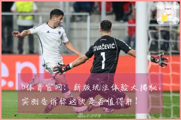 b体育官网：新版玩法体验大揭秘，实测告诉你这次是否值得肝！